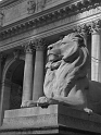 Kids-NYC_ESB_3-2014 (4)